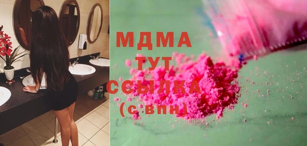ГАЛЛЮЦИНОГЕННЫЕ ГРИБЫ Дмитриев