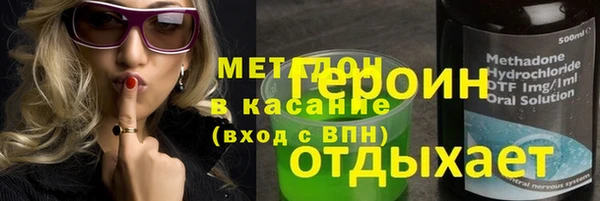 ГАЛЛЮЦИНОГЕННЫЕ ГРИБЫ Дмитриев