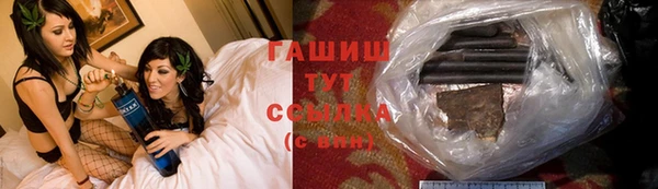 ГАЛЛЮЦИНОГЕННЫЕ ГРИБЫ Дмитриев