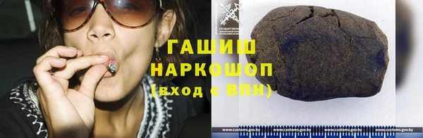 ГАЛЛЮЦИНОГЕННЫЕ ГРИБЫ Дмитриев
