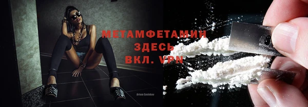 ГАЛЛЮЦИНОГЕННЫЕ ГРИБЫ Дмитриев