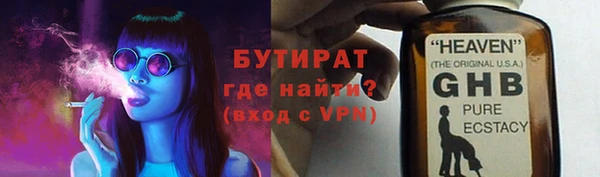 ГАЛЛЮЦИНОГЕННЫЕ ГРИБЫ Дмитриев