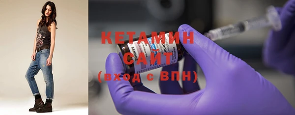 ГАЛЛЮЦИНОГЕННЫЕ ГРИБЫ Дмитриев