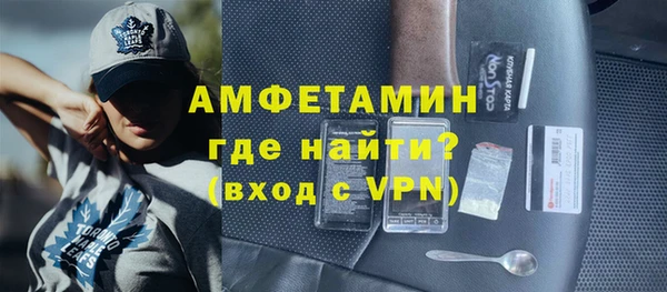 ГАЛЛЮЦИНОГЕННЫЕ ГРИБЫ Дмитриев