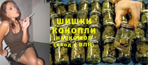 ГАЛЛЮЦИНОГЕННЫЕ ГРИБЫ Дмитриев