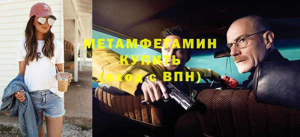 ГАЛЛЮЦИНОГЕННЫЕ ГРИБЫ Дмитриев