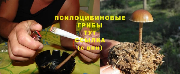 MDMA Дмитровск