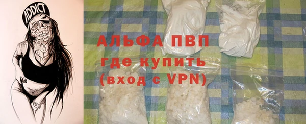 ГАЛЛЮЦИНОГЕННЫЕ ГРИБЫ Дмитриев