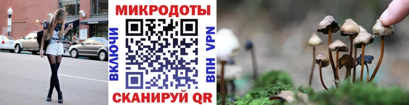что такое   Елизово  мега как войти  Галлюциногенные грибы мухоморы 