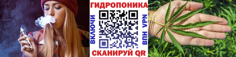 где можно купить   Елизово  Марихуана семена 